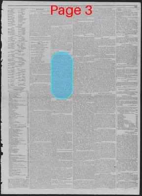 Page thumbnail for The Liberator