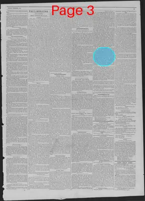 Page thumbnail for The Liberator