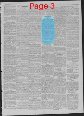 Page thumbnail for The Liberator