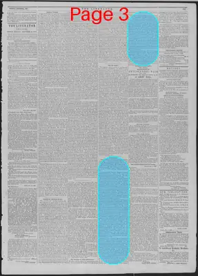 Page thumbnail for The Liberator