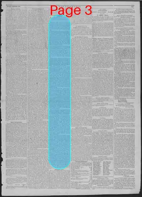 Page thumbnail for The Liberator