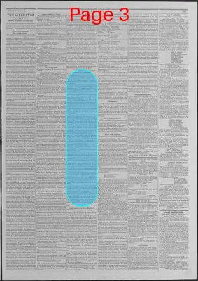 Page thumbnail for The Liberator