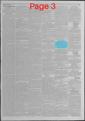 Page thumbnail for The Liberator