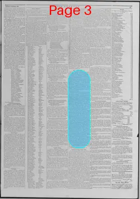 Page thumbnail for The Liberator