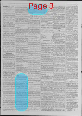 Page thumbnail for The Liberator