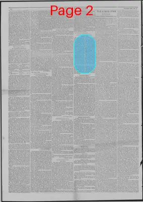 Page thumbnail for The Liberator