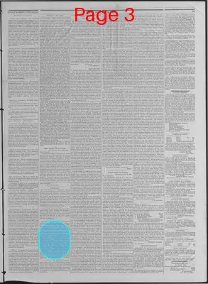 Page thumbnail for The Liberator