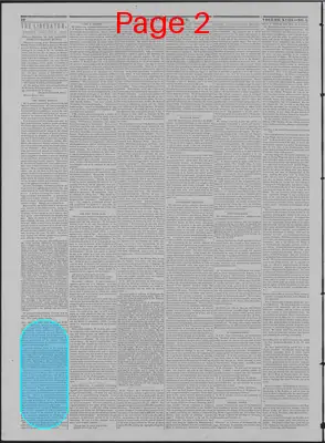 Page thumbnail for The Liberator