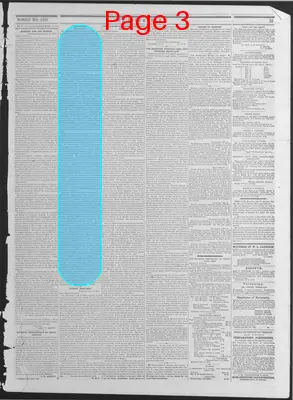 Page thumbnail for The Liberator