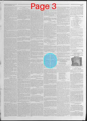 Page thumbnail for The Liberator