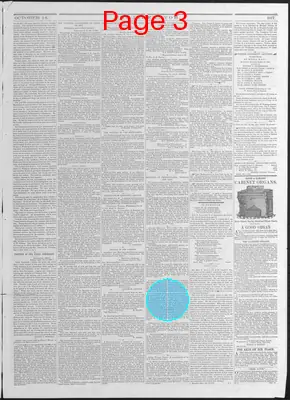 Page thumbnail for The Liberator