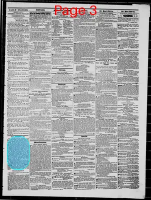 Page thumbnail for The Daily Minnesota Pioneer