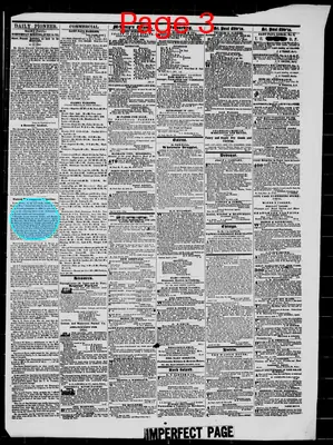 Page thumbnail for The Daily Minnesota Pioneer