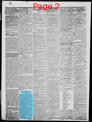 Page thumbnail for The Daily Minnesota Pioneer
