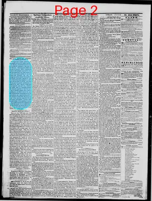 Page thumbnail for The Daily Minnesota Pioneer