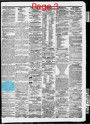 Page thumbnail for The Daily Minnesota Pioneer