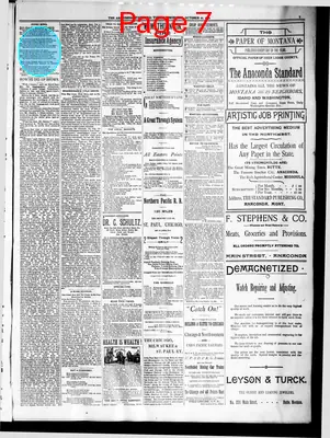 Page thumbnail for The Anaconda Standard