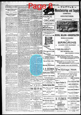Page thumbnail for The Anaconda Standard