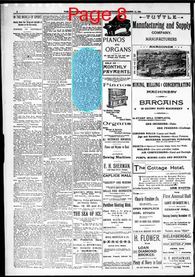 Page thumbnail for The Anaconda Standard