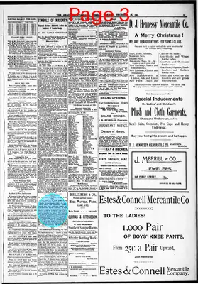 Page thumbnail for The Anaconda Standard