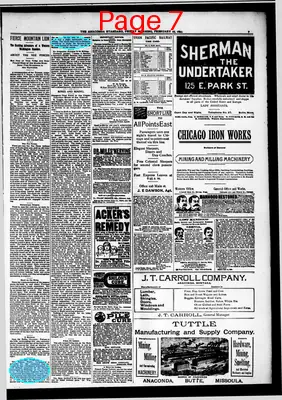 Page thumbnail for The Anaconda Standard