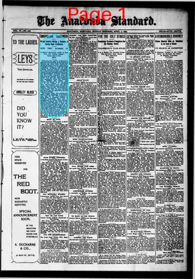Page thumbnail for The Anaconda Standard