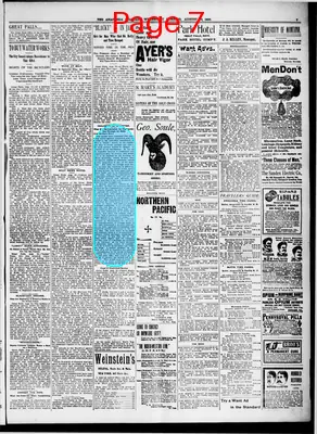 Page thumbnail for The Anaconda Standard