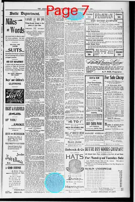 Page thumbnail for The Anaconda Standard