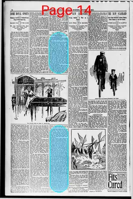 Page thumbnail for The Anaconda Standard