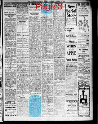 Page thumbnail for The Anaconda Standard