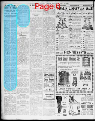 Page thumbnail for The Anaconda Standard