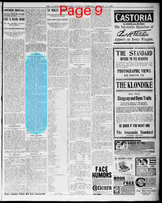 Page thumbnail for The Anaconda Standard