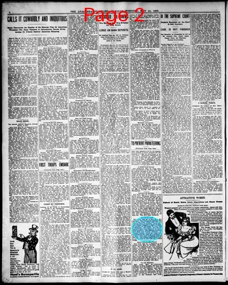 Page thumbnail for The Anaconda Standard