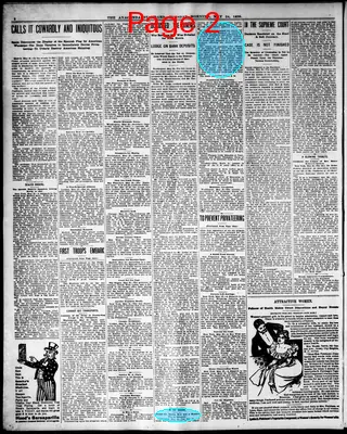 Page thumbnail for The Anaconda Standard