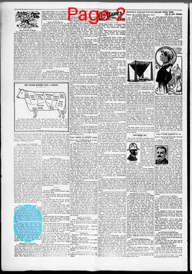 Page thumbnail for The Western News