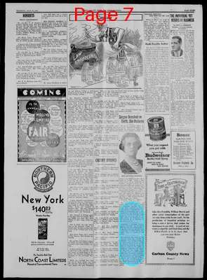 Page thumbnail for The Carbon County News
