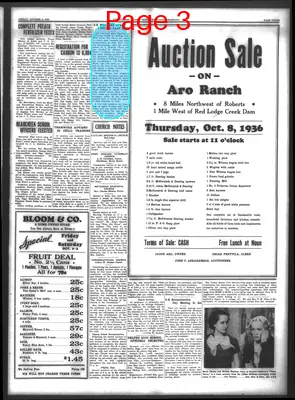 Page thumbnail for Carbon County News