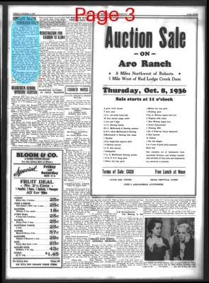 Page thumbnail for Carbon County News