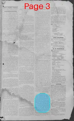 Page thumbnail for Harpers Ferry Free Press