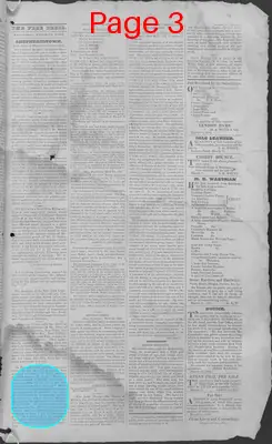 Page thumbnail for Harpers Ferry Free Press