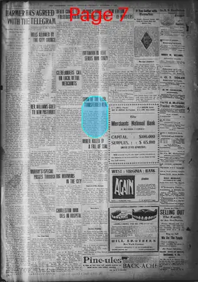 Page thumbnail for The Clarksburg Telegram