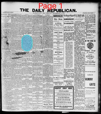 Page thumbnail for Daily Republican