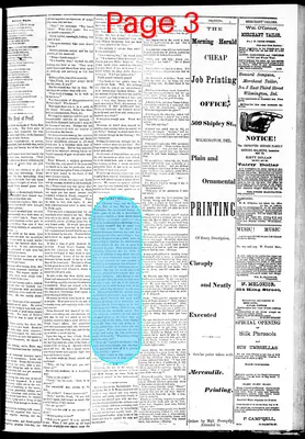 Page thumbnail for The Morning Herald