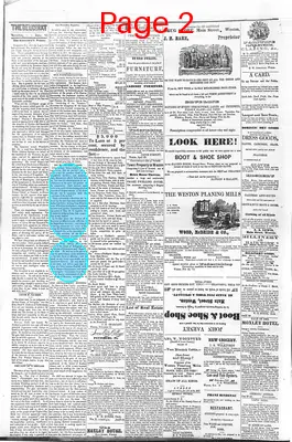 Page thumbnail for The Weston Democrat