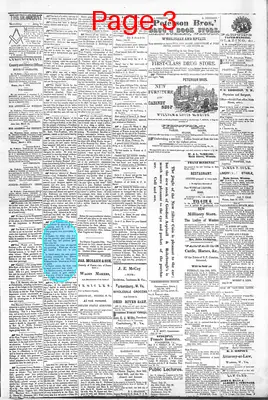 Page thumbnail for The Weston Democrat