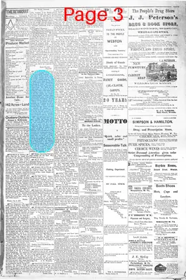 Page thumbnail for The Weston Democrat