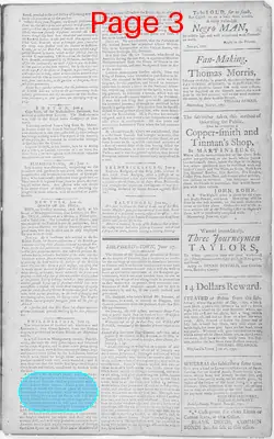 Page thumbnail for The Patowmac Guardian, And Berkeley Advertiser