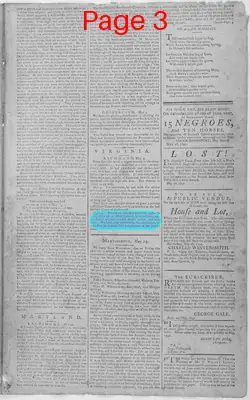 Page thumbnail for The Patowmac Guardian, And Berkeley Advertiser
