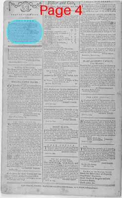 Page thumbnail for The Patowmac Guardian, And Berkeley Advertiser