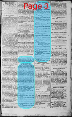 Page thumbnail for Martinsburgh Gazette